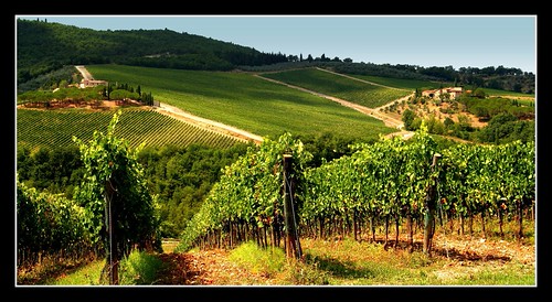 Chianti by Robert-Jan van Lotringen,  italy green landscape warm wine vine rows tuscany chianti toscane borgo hilly grape vino vinyard cl