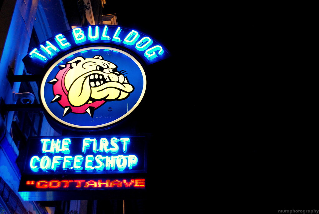 The Bulldog - Amsterdam At Night., From my autumn trip to A…