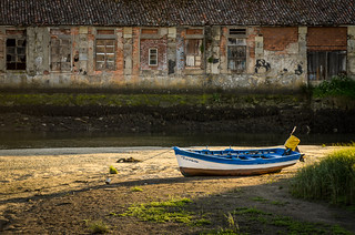 Flickr photo: Navícula