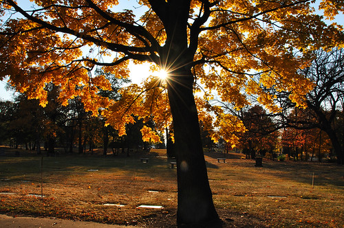 Autumn evening by herecomesanothersongaboutmexico, It's been such a strange Fall.  Some trees are bare while some haven't even changed colors yet.  It'