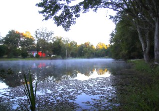 Florida sunrise - mist on the pond