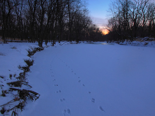 snow ice sunrise january chicagoriver northbranch miamiwoods cookcountyforestpreserves mortongroveillinois pwwinter