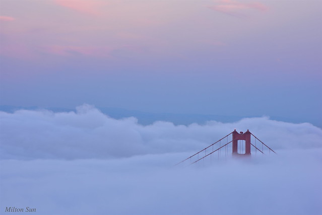 [South Tower in Low Fog] view from Hawk Hill, SF