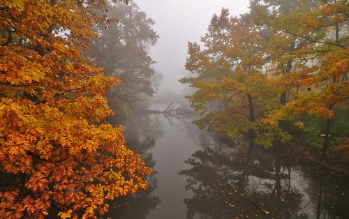 Fog at Confederation Park ! | by Boguslaw1