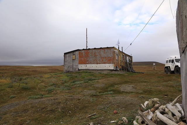 Landscape Wrangel Island UNESCO World Heritage Site Russia Arctic