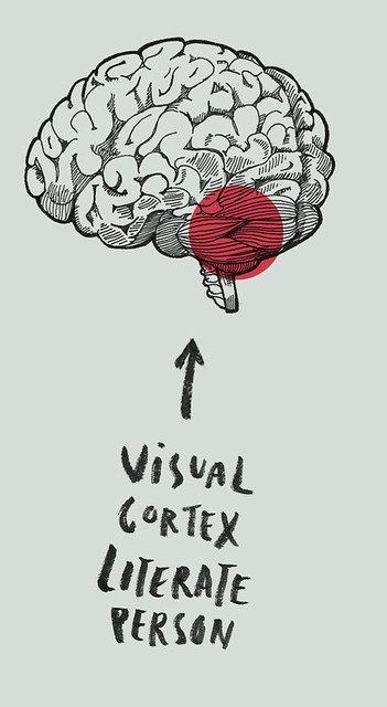visual cortex literate person