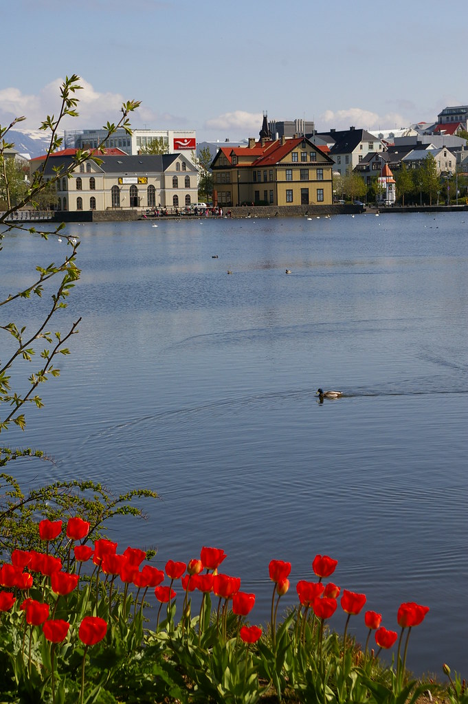 Lake Tjornin