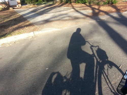 Commuting Panda | by David Spranger
