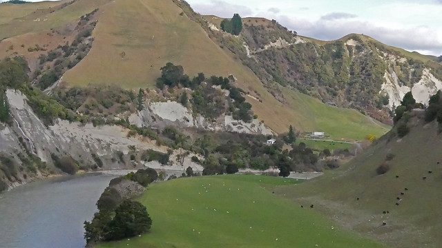 New Zealand Countryside