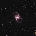 NGC 1365 imaged by Dennis Zambelis