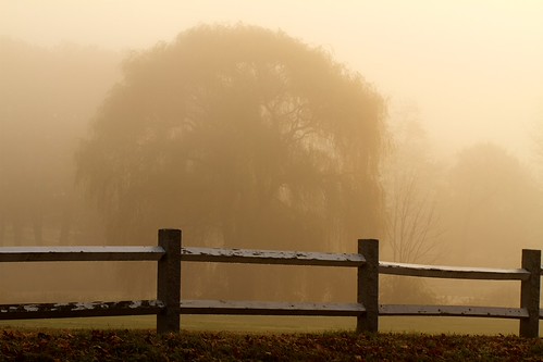 E7D_2945 by stevefreitag, morning autumn trees fall fog sunrise foggy dew photomatix tonemappedhdr