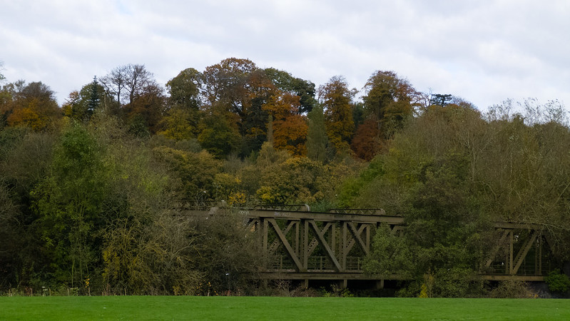 Tettenhall ridge trees turning colour