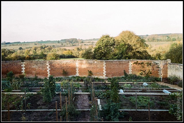 Walled garden and crinkle-crankle wall