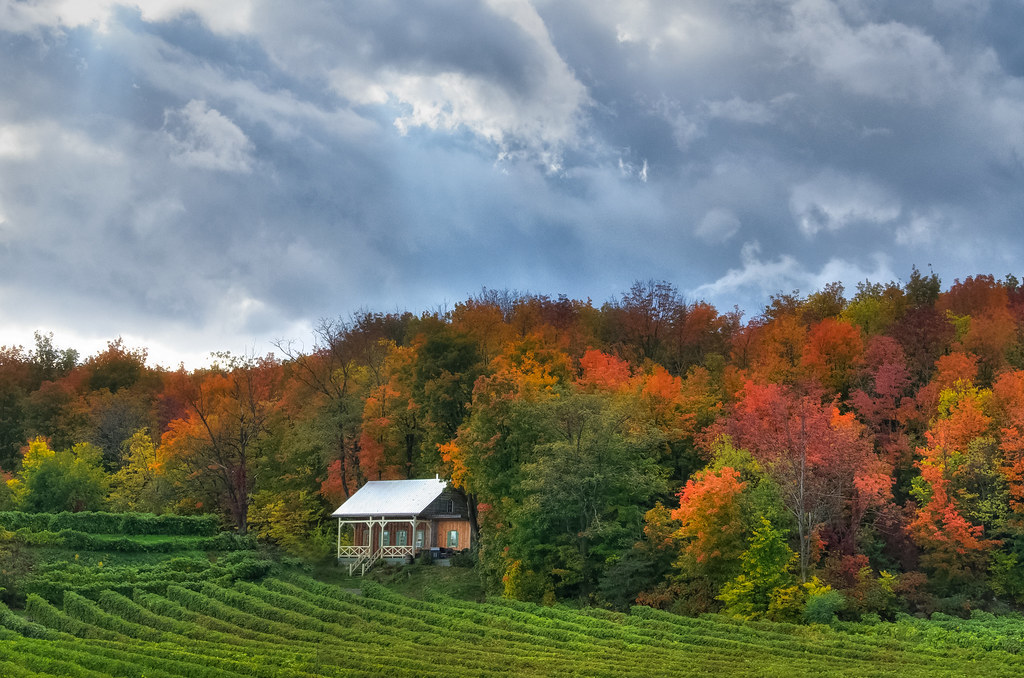 Autumn Colors | Last year's autumn in Quebec, Canada Urban C… | Flickr