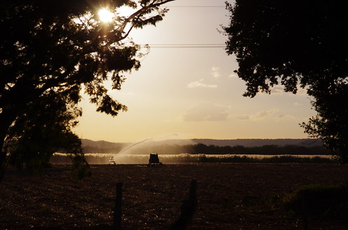 De sol a sol | by pabloarayabarrantes