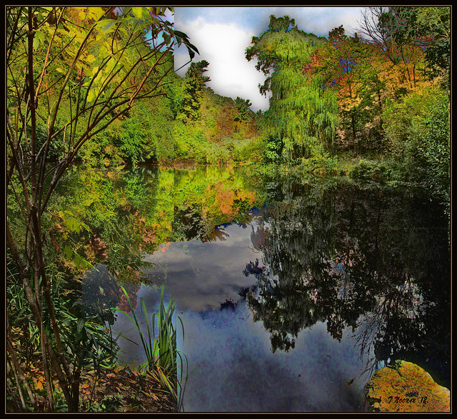 Autumn Pond: Dark Reflection. Explore Oct 14, 2012 #490