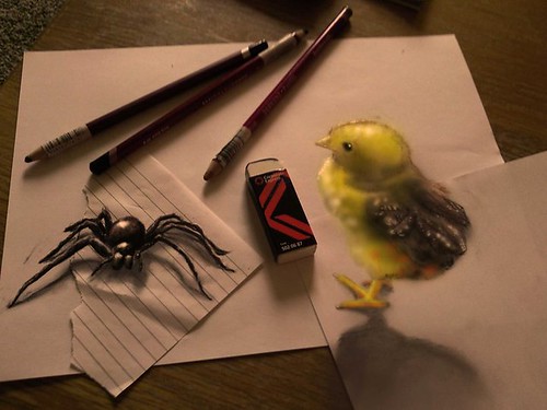 spider and the chick
