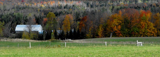 Barn in Fall in the Eastern Townships