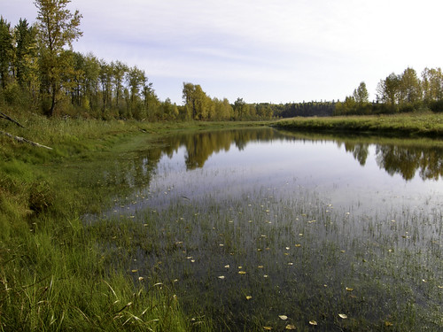 Eagle Point-Blue Rapids Park System - North Saskatchewan River