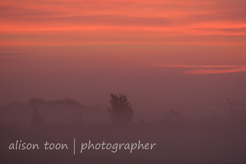 mist newyork sunrise dawn longisland greatsouthbay masticbeach wetands threeandahalfyears williamfloydestate alisontooncom