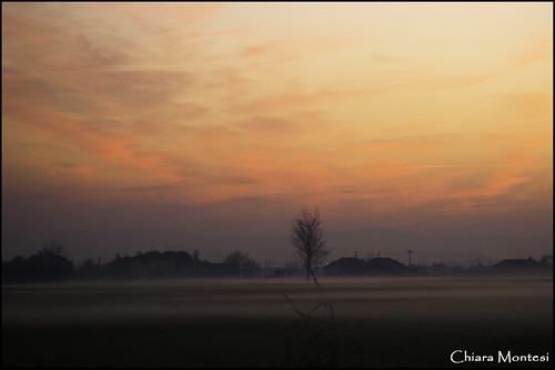 Tramonto e nebbia by Chiara M., sunset fog tramonto campagna nebbia campi