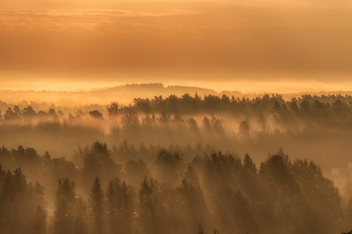 helsinki finland forest sky orange mist fog canoneos70d adobelightroom6 niktools 2016 august