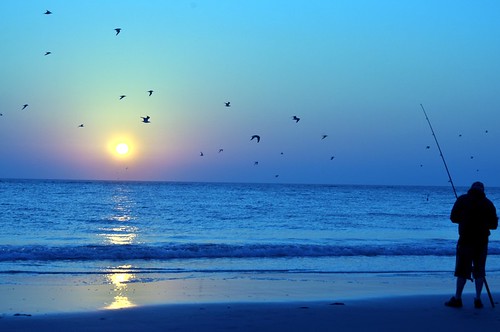 morning beach birds sunrise fishing shore wildwood octobermixmatch