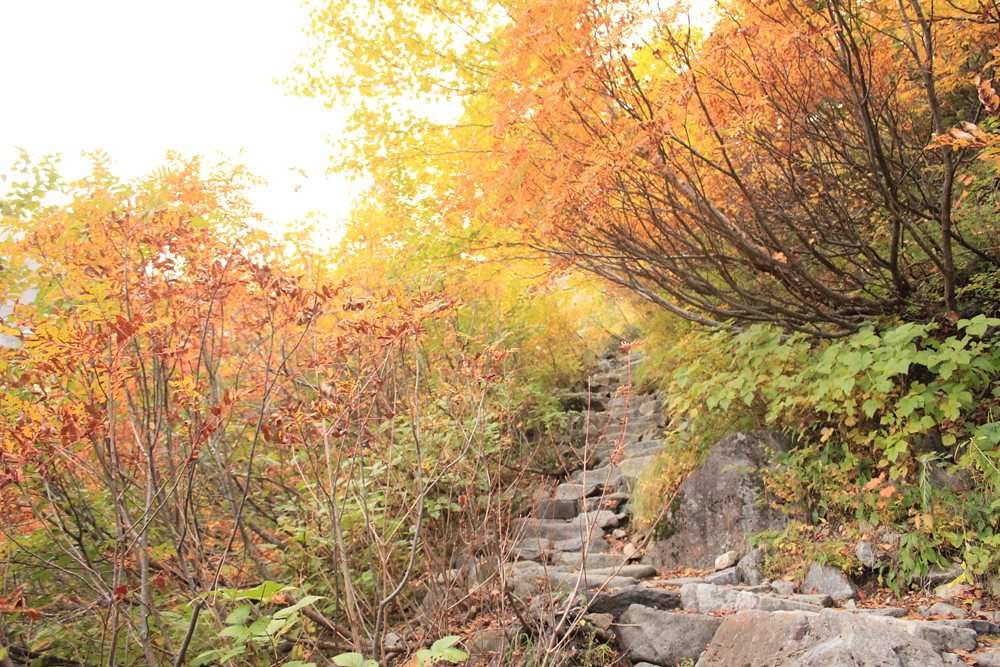 紅葉の涸沢