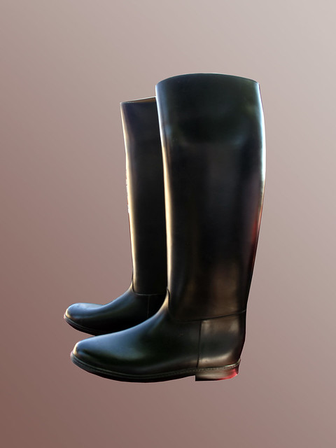 Botas de montar / Riding boots