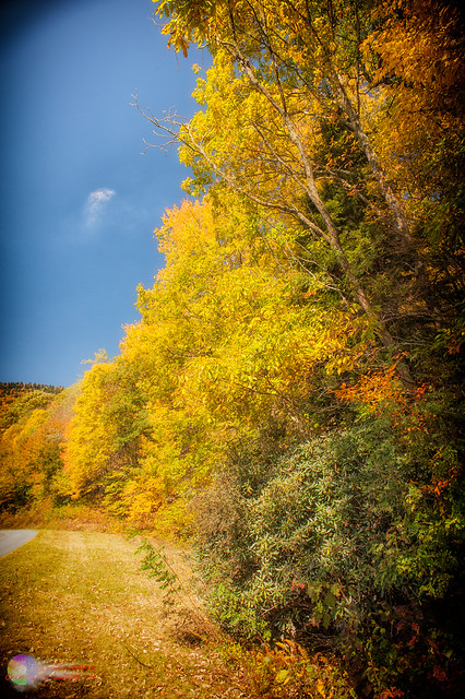 Fall along Blue Ridge Parkway #13