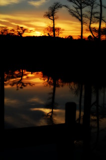 Swamphouse Marina Sunset