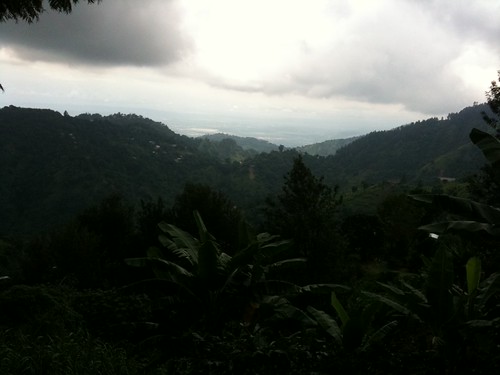 IMG_0089 by emailer, carribean jamaica