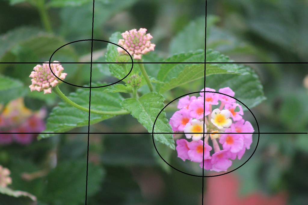 Rule of thirds by Jeffery Scism Rule of thirds by Jeffery Scism