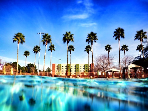 sun college water pool phoenix swimming warm day tag clear palmtree uploaded:by=flickrmobile flickriosapp:filter=nofilter