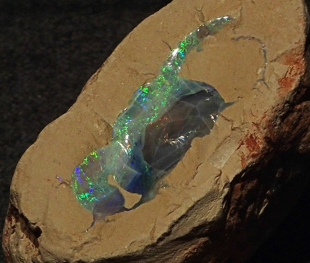 Precious opal in silicified claystone (Griman Creek Formation, Lower Cretaceous; Coocoran Opal Field, New South Wales, Australia) 1