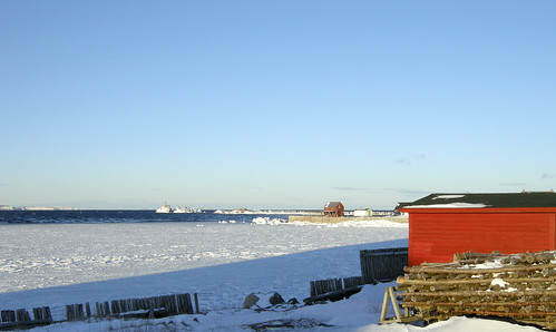 morning winter snow canada ice newfoundland harbour bonavista bonavistaharbour hjalmar1886