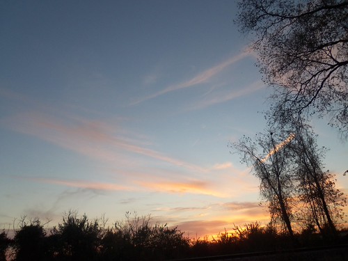 the evening by today1996, The red sky herea a pic taken extemporaneously at dusk before total daekness renders it impossible t