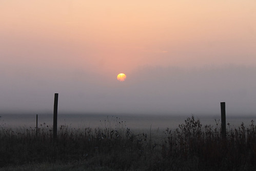 november mist fog sunrise landscape michigan 2012 livingstoncounty