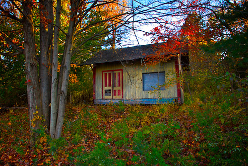 carnival autumn house fall abandoned strange leaves rural forest landscape woods colorful empty shed odd trail unusual orangecounty heritagetrail trailside