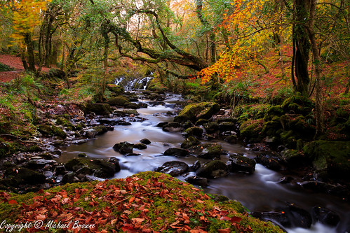 Autumn Stream | by mbshrekito