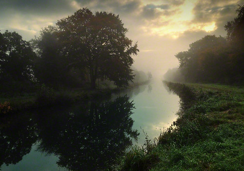 morning ireland reflection tree landscape flickr best ie 2c kildare cokildare 72dpipreview ©lowresolutionpreview iphone4s ©2c