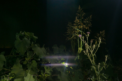 DIY flare filter | by Ancuta Sorina