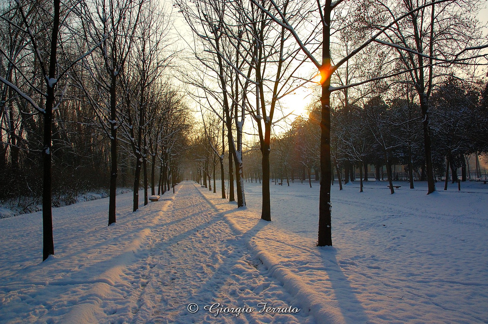 Neve al parco