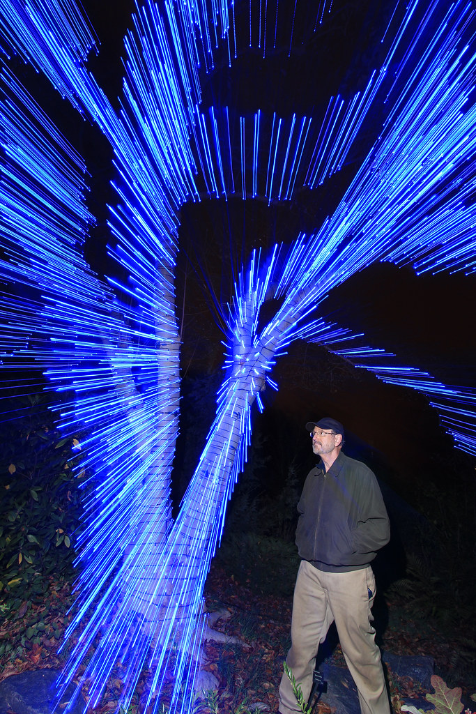 Atlanta Botanical Garden Garden Lights Holiday Nights Gl Flickr