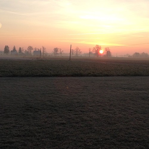 Good morning, Indiana country. #indiana #fall #haze #sunrise #nofilter by Cammiebeth, square squareformat iphoneography instagramapp uploaded:by=instagram