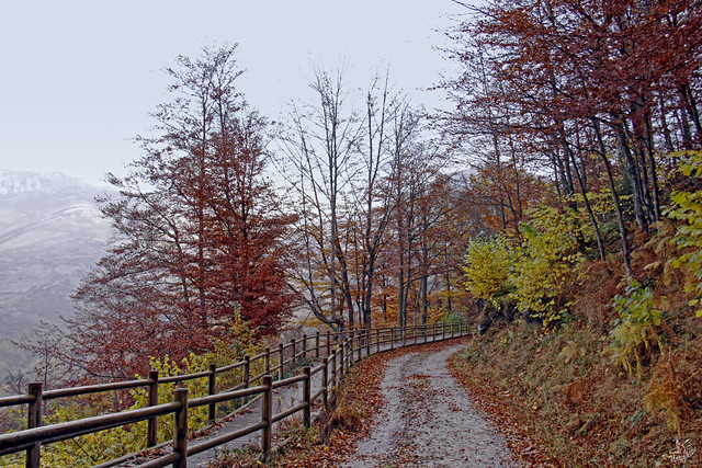 05 Un paseo por el otoño