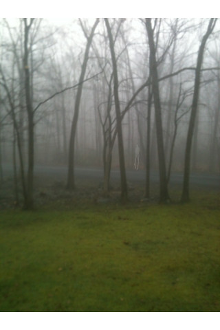 Slender Man Sighting | by Slender Sightings