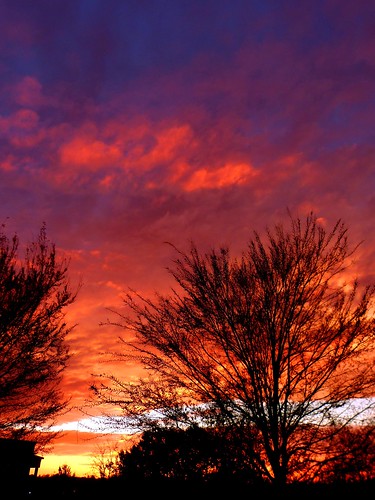 sunset red sky orange tree beach colors yellow dusk alabama athens mobilebay athensalabama