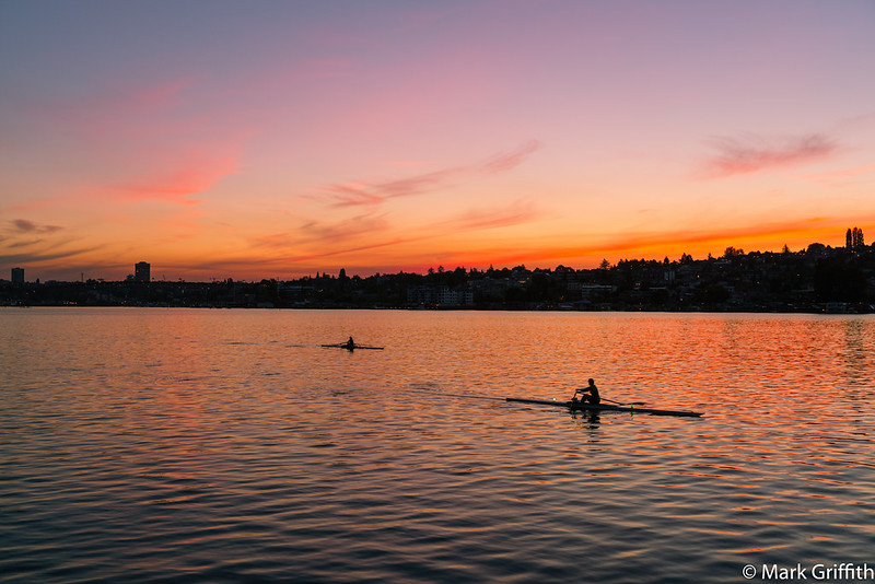 Morning Row