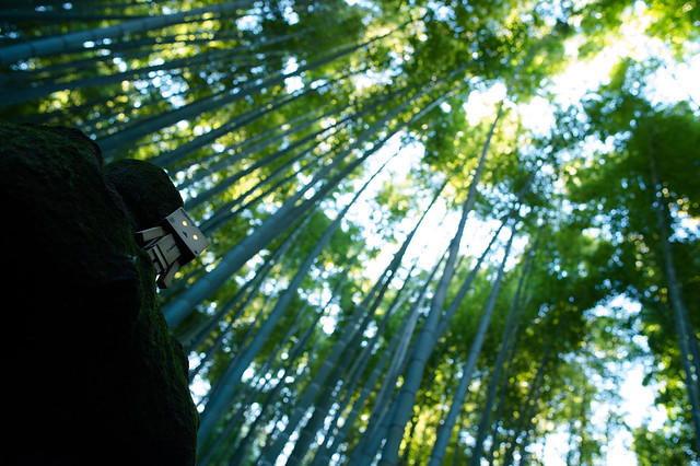 Kamakura photowalk 2012 - Bamboo monster